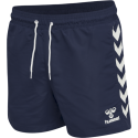 Maillot de bain Hmlkato - Bleu Maillots de Bain Homme214288-7666