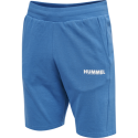 Short unisexe Hmllegacy - Bleu Shorts Homme212568-7042