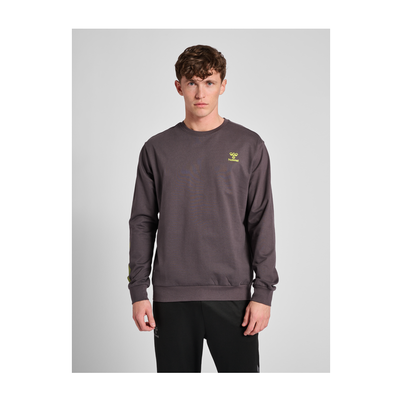 Sweatshirt Hmloffgrid Cotton - Gris Sweats216130-2172