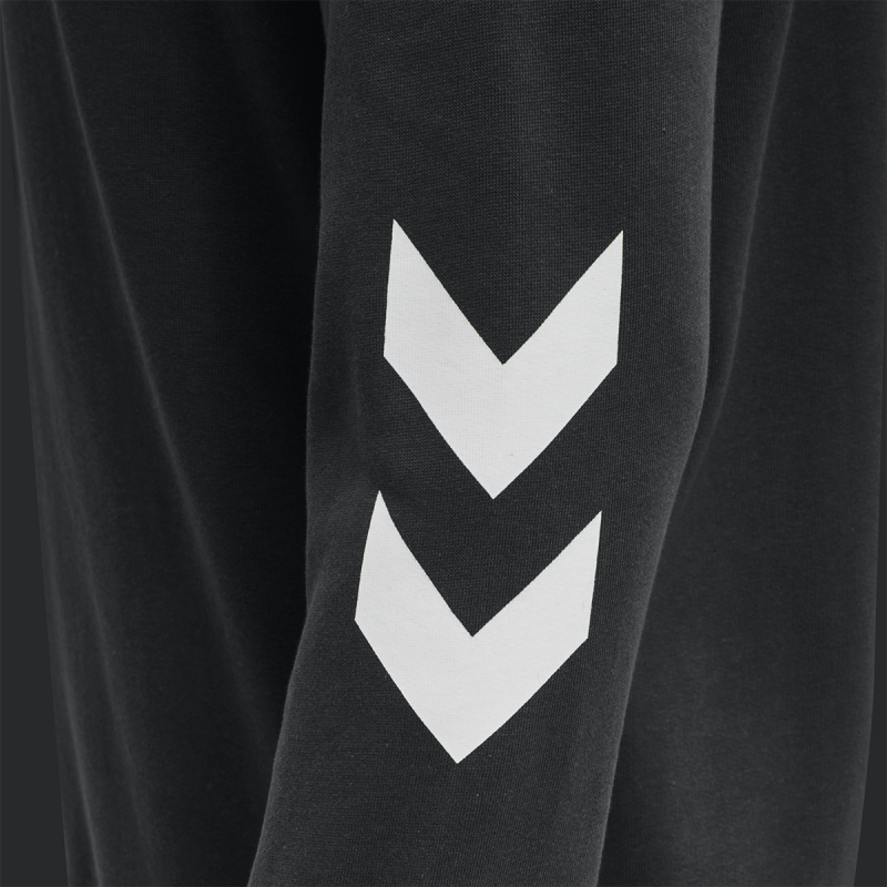 sweat à capuche Unisexe Hmllegacy Zip - Noir Hoodies et Sweatshirts212566-2001