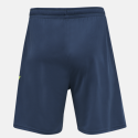 Tenue Homme Hmlpromo / Bleu/Vert Textiles205872-6247