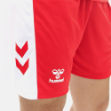Tenue Homme d'entrainement Hml Action - Rouge TextilesT204963-3062