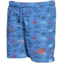 Maillot de bain HMLSAILOR - Bleu Maillots de Bain Homme950046-7620
