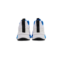Reach Tr Flex Bright White/skydiver Running225210-9410